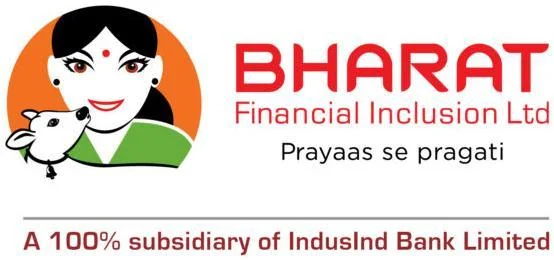Bharat Financial Inclusion
